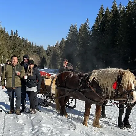 Chalet Transylvania *