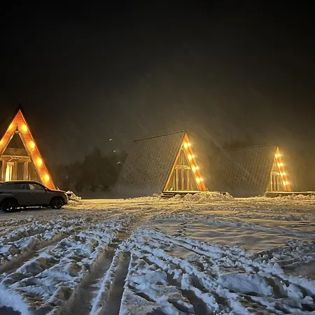 Transylvania Borzont